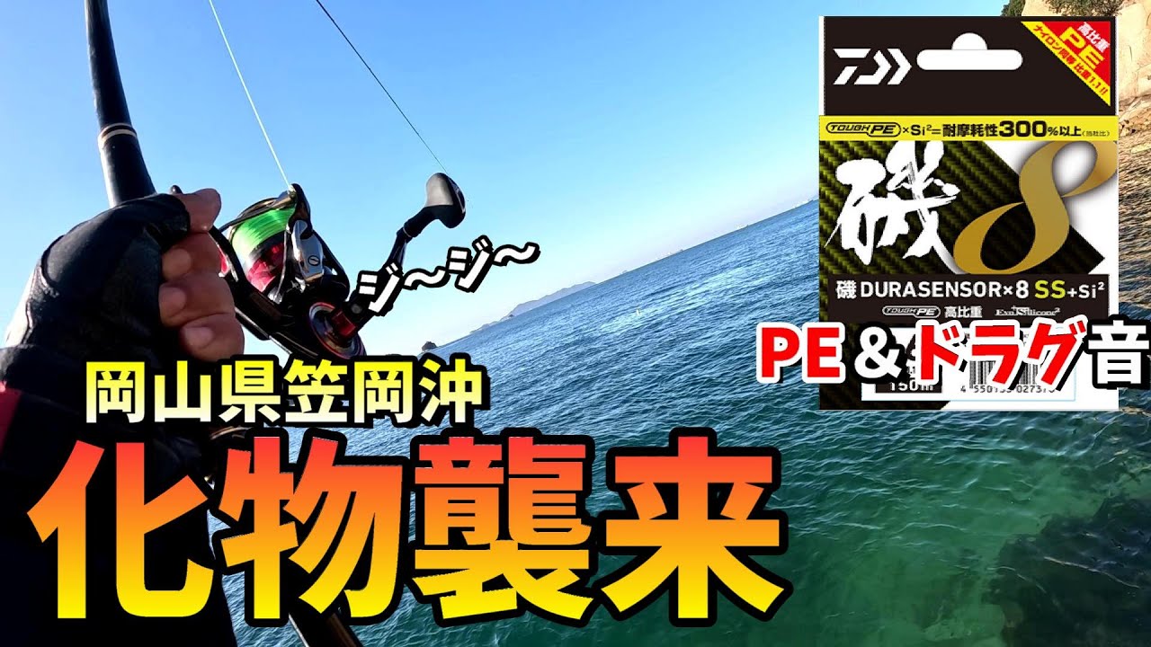 化け物だらけの独立礁！出るか？良型チヌ！！ in 岡山県笠岡沖