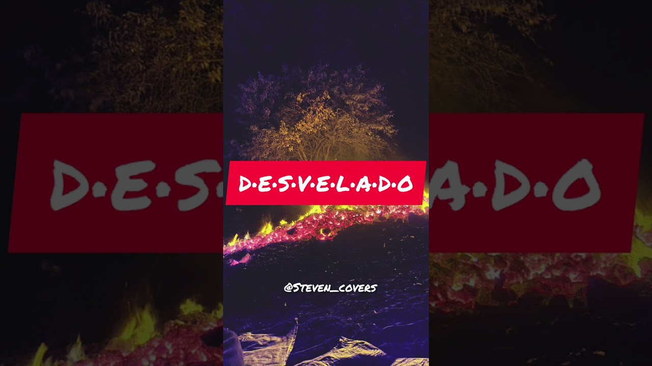 Desvelado_-_STEVEN COVERS_(audio.mp3)_En Vivo.