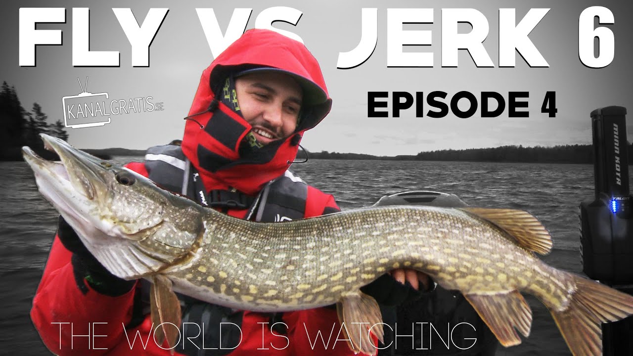 Fly vs Jerk 6 - EPISODE 4 - The World is Watching