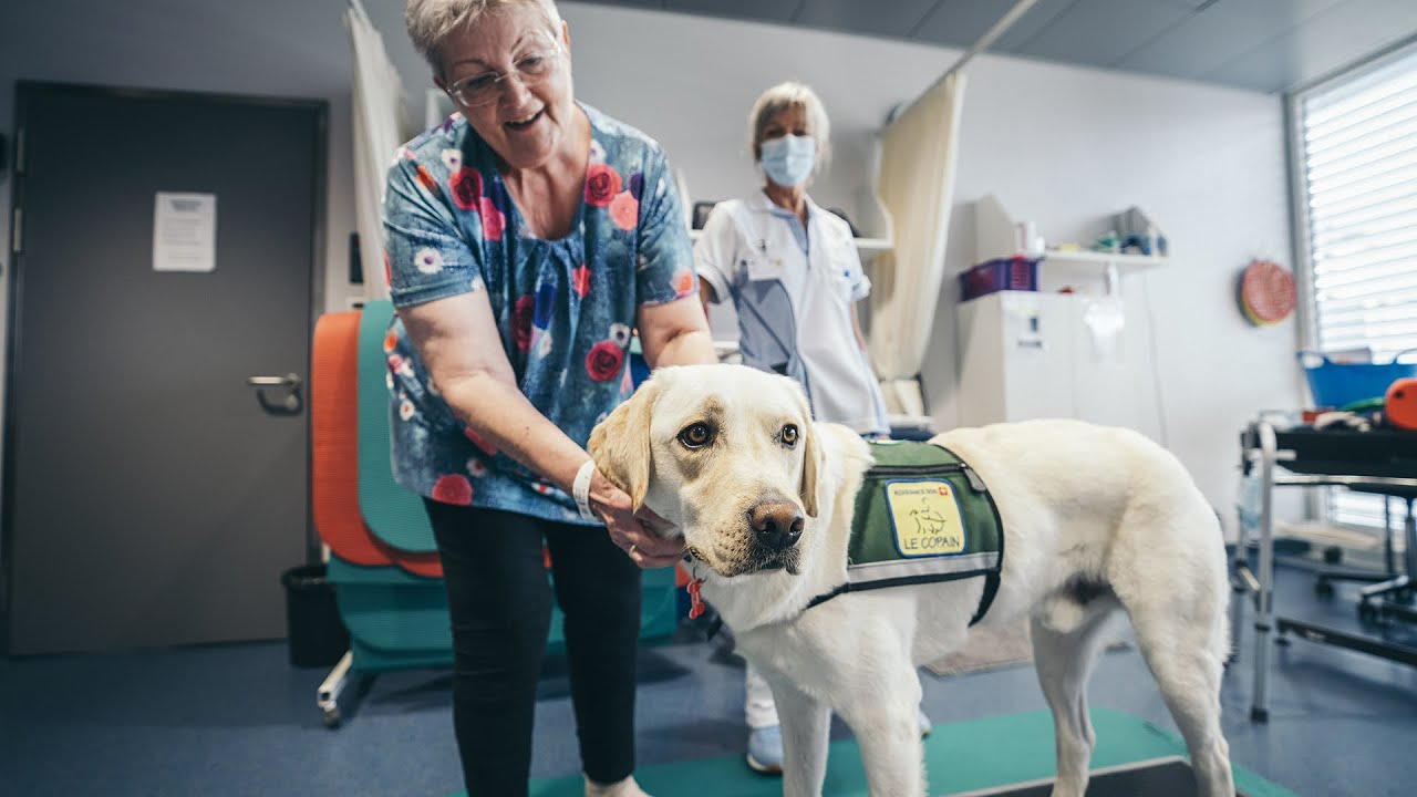 Un nouveau physiothérapeute très poilu, mais tellement chou./Der Physiotherapeut mit dem Hundeblick