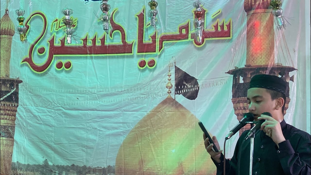 کربُ بلا کے دشت میں عالی وقار چلا گیا