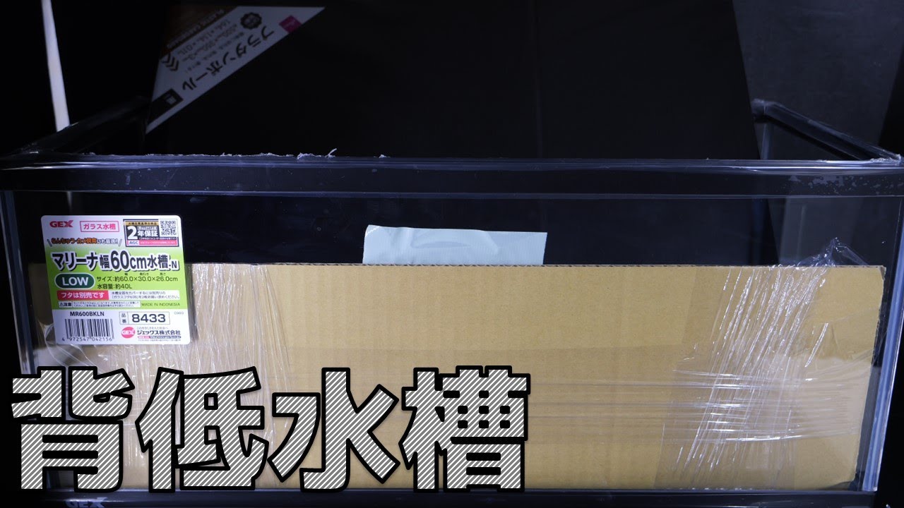 【リセット】分厚い砂さようなら・・・ロー水槽＆マジックテープ全面ブラックで見えない環境を構築してみた。ゼブリーナ完全繁殖への道【ふぶきテトラ】