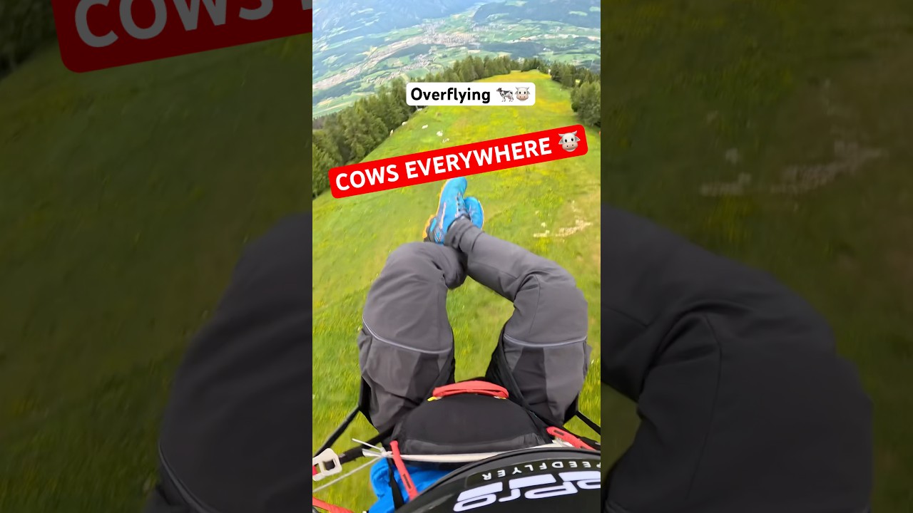 Overflying some cows with my rocket 🪂