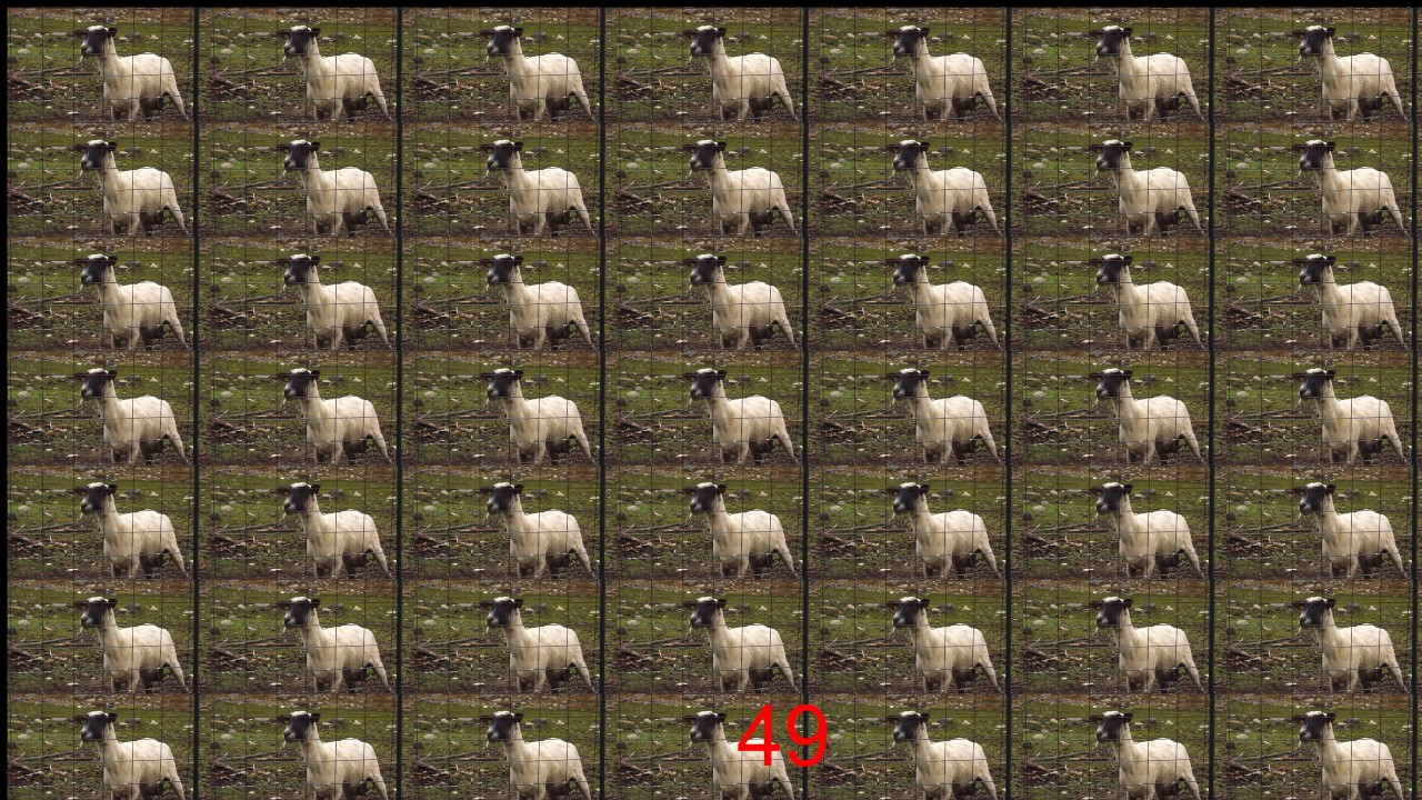 Screaming sheep doesn't scream 1,000,000 times