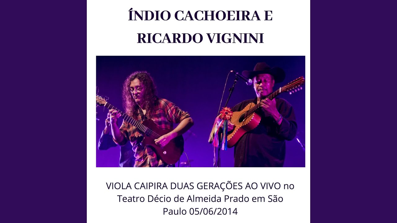 Violinha Fandangueira