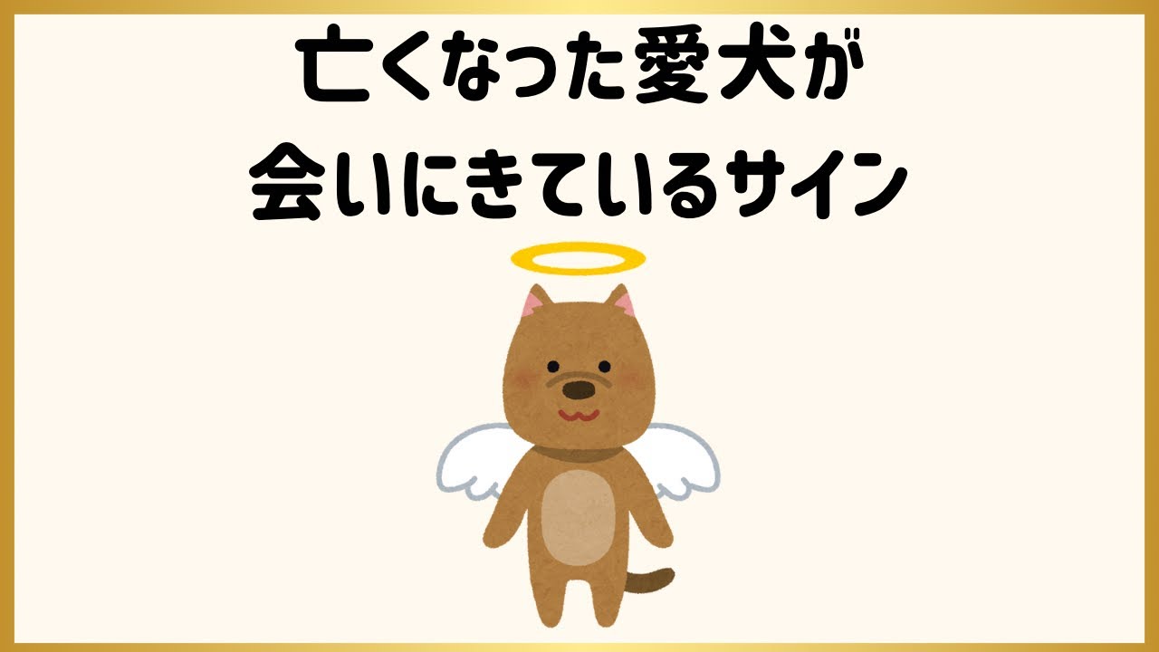 【 #犬の雑学 】亡くなった愛犬についてのトリビア #雑学
