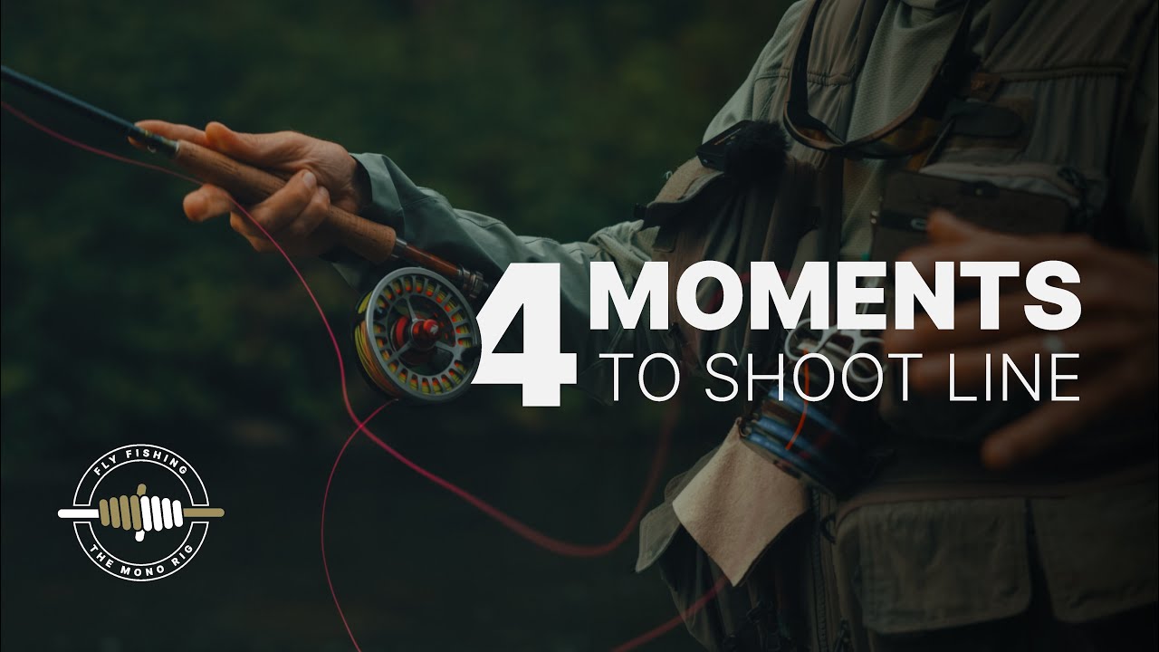 Four Moments to Shoot Line