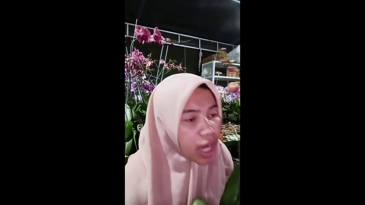 Joe Orchid sedang live sekarang!