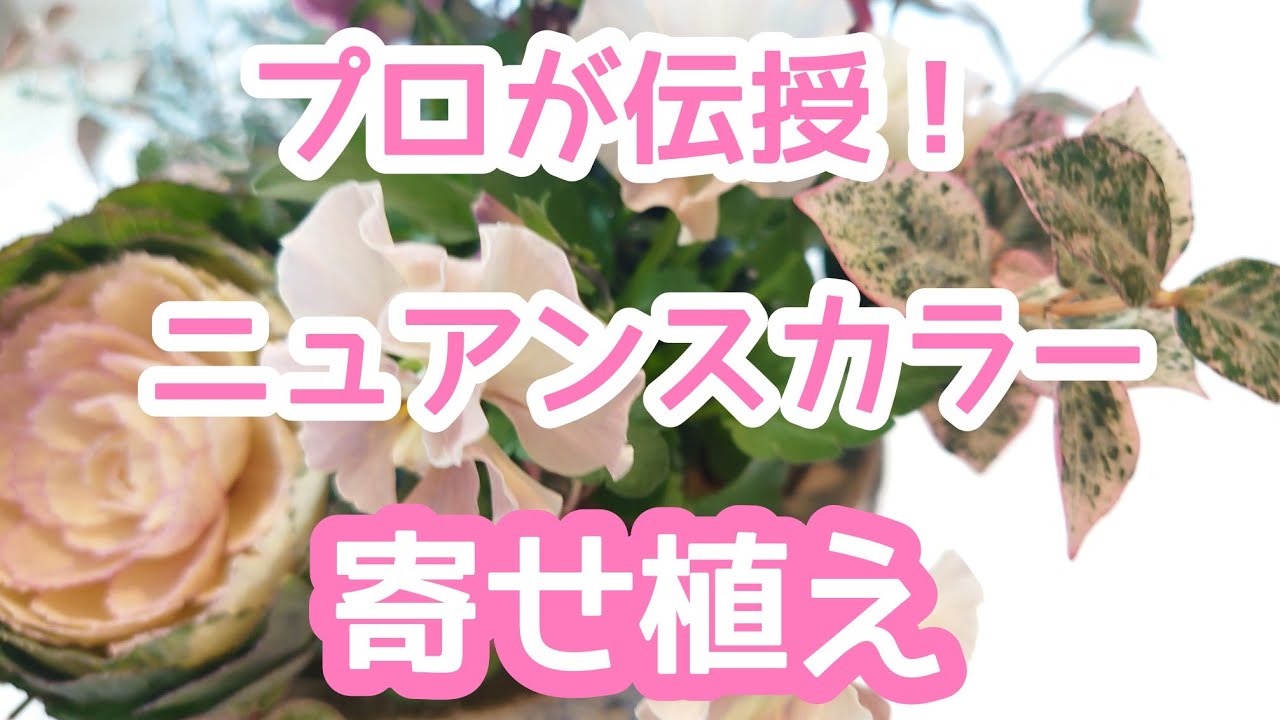 【寄せ植え】流行りのニュアンスカラーを上手に使う秘訣！
