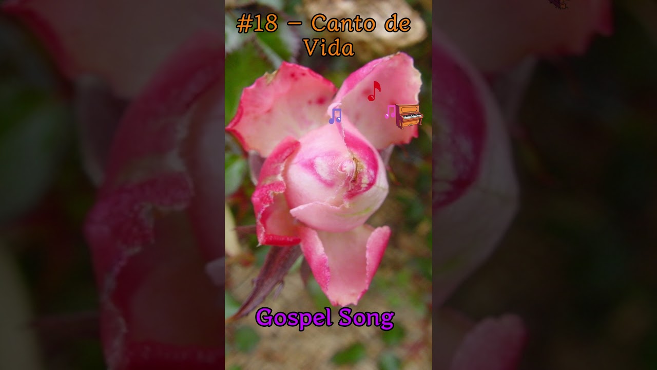 El Cántico del Salmo de Simuon #18 – Canto de Vida #gospelmusic #musicaevagelica #musica