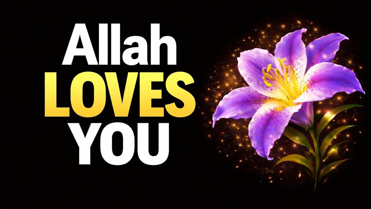 ALLAH WANTS YOU TO SEE THIS 🌿 Faith Notes 