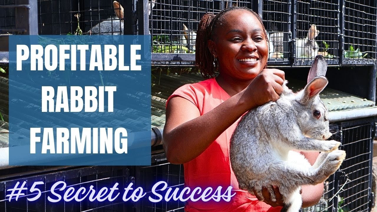 Profitable Rabbit Farming: Top 5 Secrets You Must Know! 🐰💰
