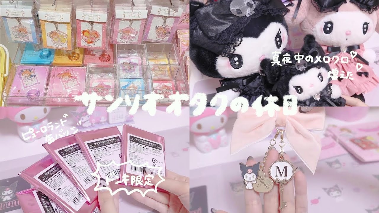 【vlog】*オタクがサンリオグッズ巡り / ドンキ限定商品を開封！神引き / 真夜中のメロクロ*