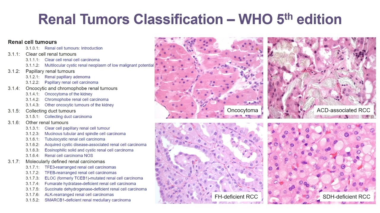 2024 A Practical Approach to Surgical Pathology: Volume X - A Video CME Teaching