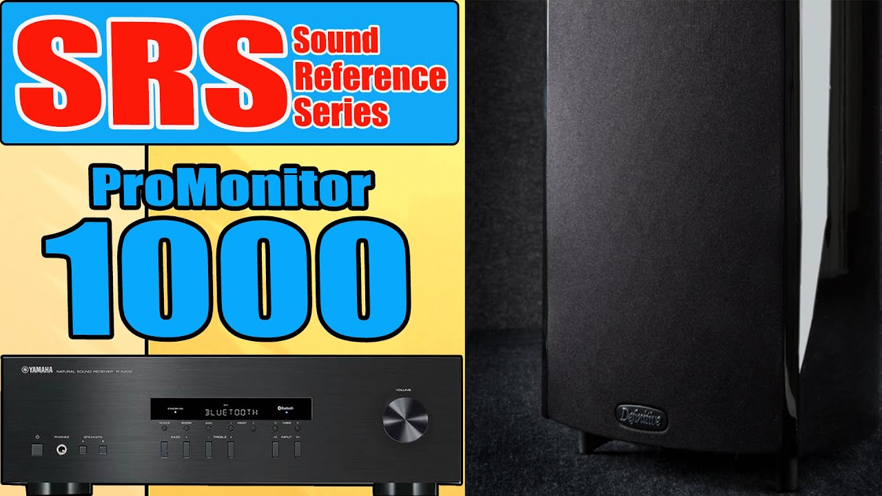 [SRS] Definitive Technology ProMonitor 1000 Bookshelf Speakers / Yamaha R-S202 Stereo Receiver