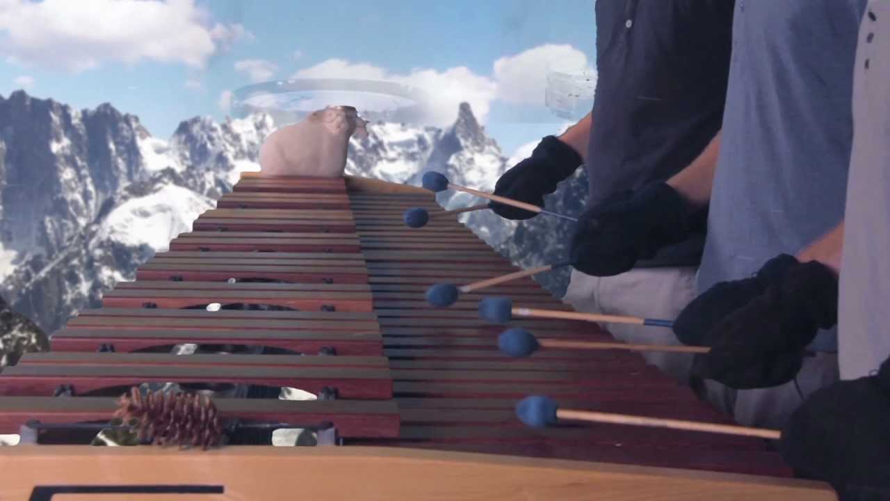 Legend of Zelda - Skyward Sword Theme/Ballad of the Goddess on Marimba