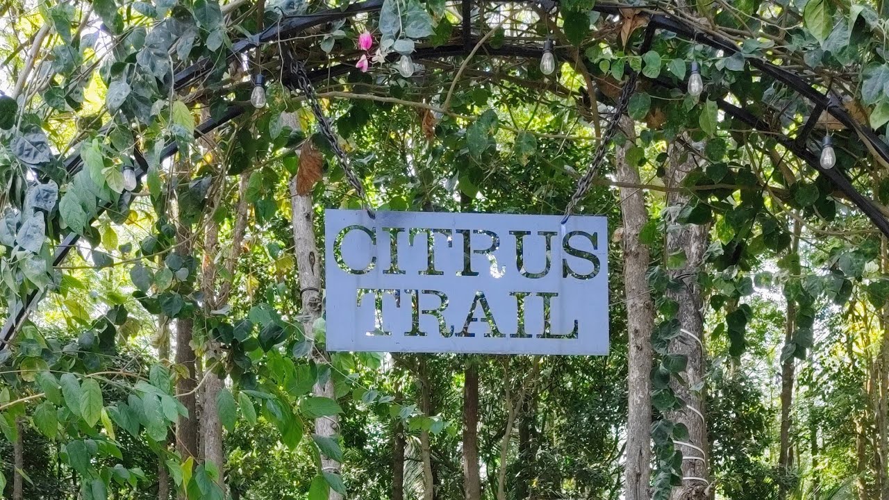Citrus Trail Farm & Kitchen Hidden inside a jungle 