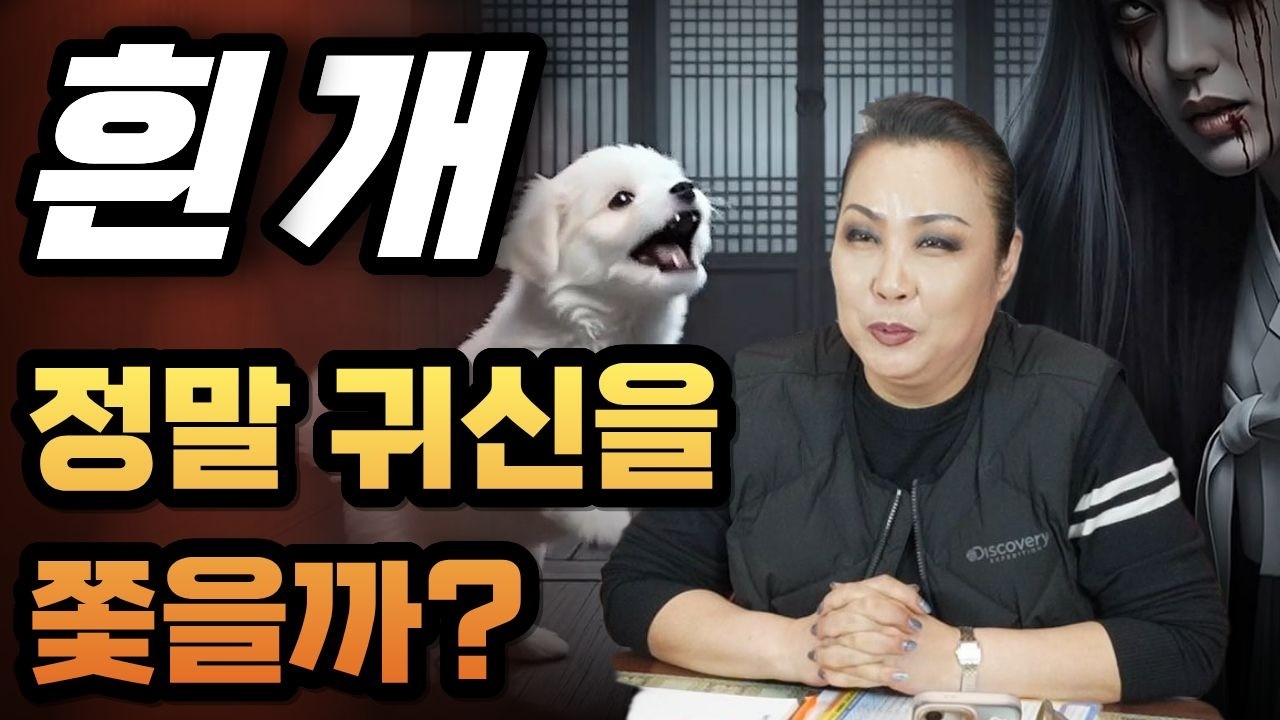 [반려견특집] 귀신도 피한다는 &lsquo;흰 개&rsquo;의 정체 알고 계셨나요 ☎️ 국민무당 서대문백마장군 상담 예약 010-5597-8312 #용한점집 #운세