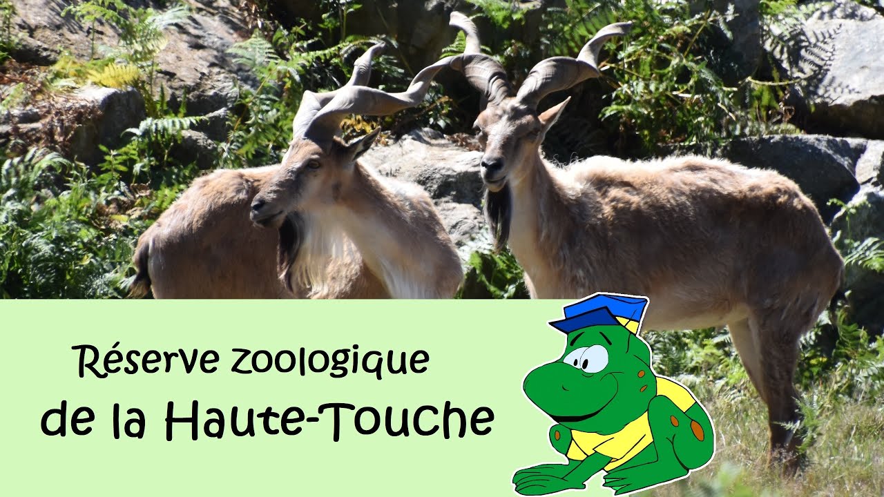 Réserve zoologique de la Haute-Touche, 2022