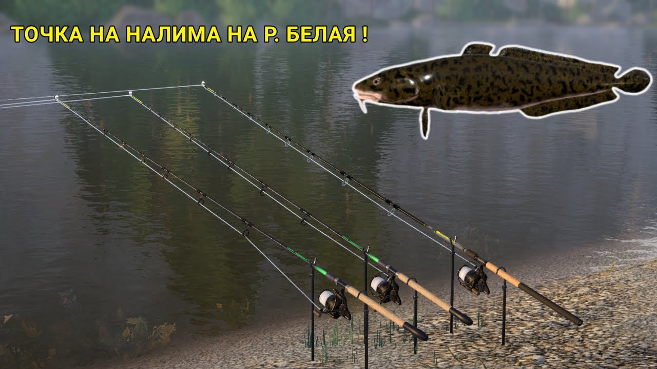 ТОЧКА НА НАЛИМА НА РЕЧКЕ БЕЛАЯ! КЛЮНУЛА СТЕРЛЯДЬ НА СДАЧУ!