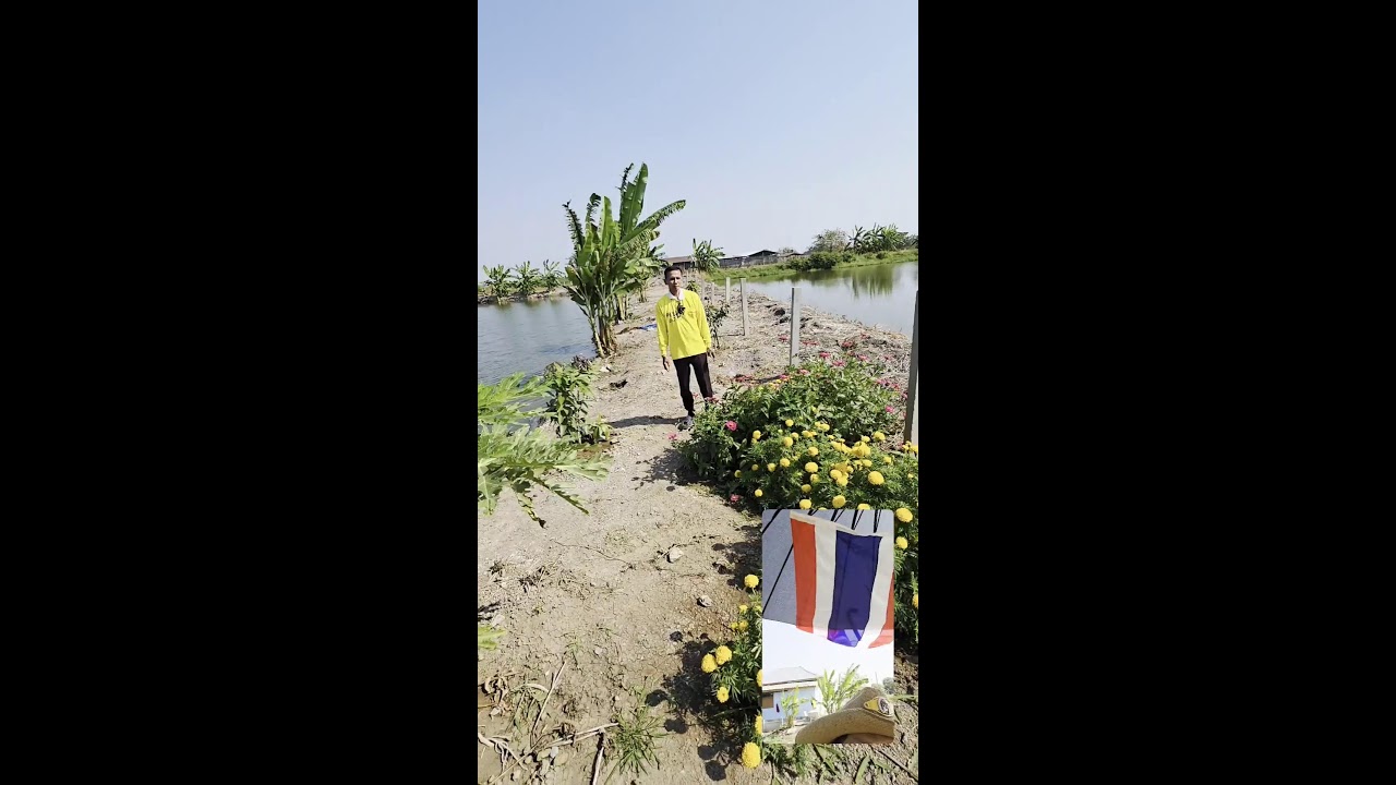 ที่ดินและบ้าน ราคาถูกมาก โดยบอยเศรษฐีนาคราช