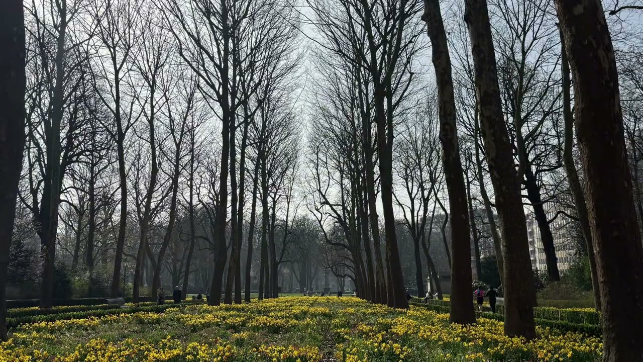 Peaceful Nature Walk Through a Belgium Park 🌼 | Quiet & Relaxing Europe Walking Tour