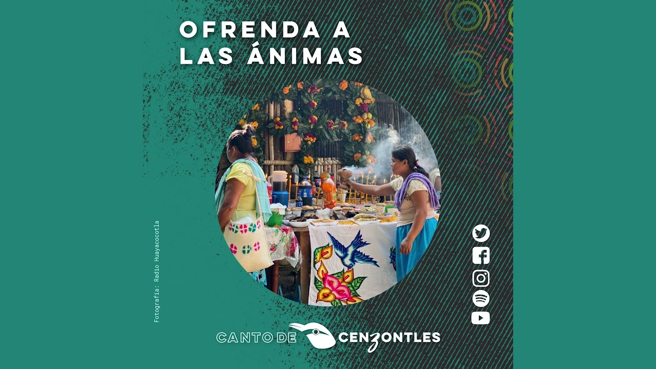 Ofrenda a las ánimas. Primera parte - Canto de Cenzontles #87