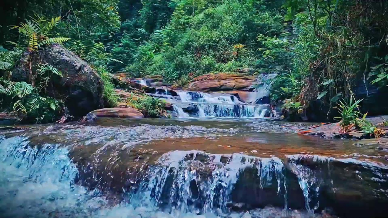 Mountain River Waterfall Flowing | Water Sounds, Nature White Noise, River Sounds for Sleeping