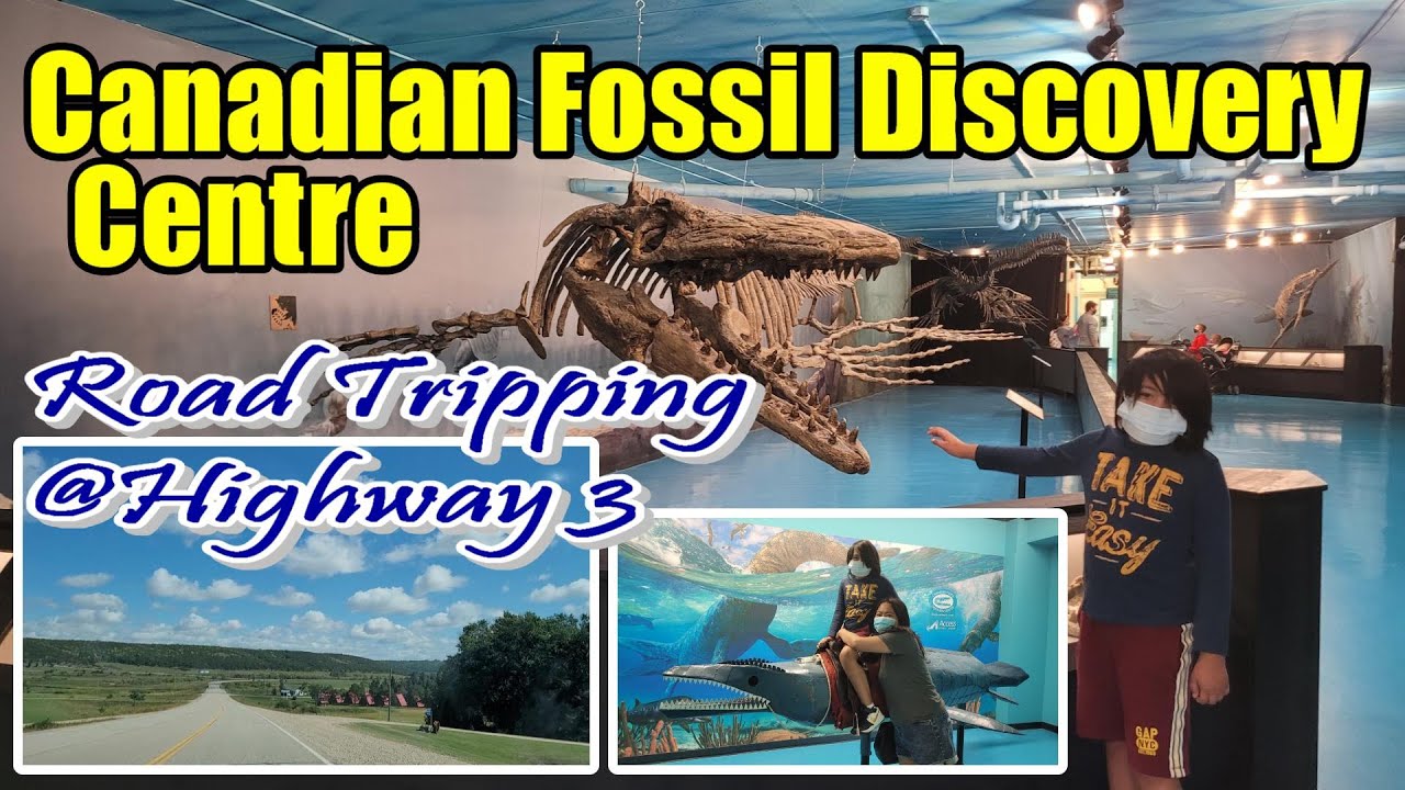 Canadian Fossil Discovery Centre | Discover Manitoba | Morden Dinosaur Museum