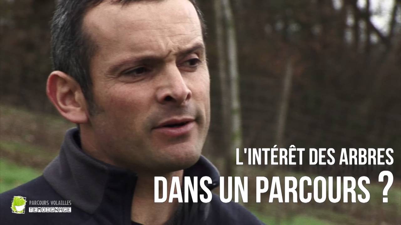 Elever des volailles sous les arbres ? Témoignage d'un éleveur Vincent BLAGNY