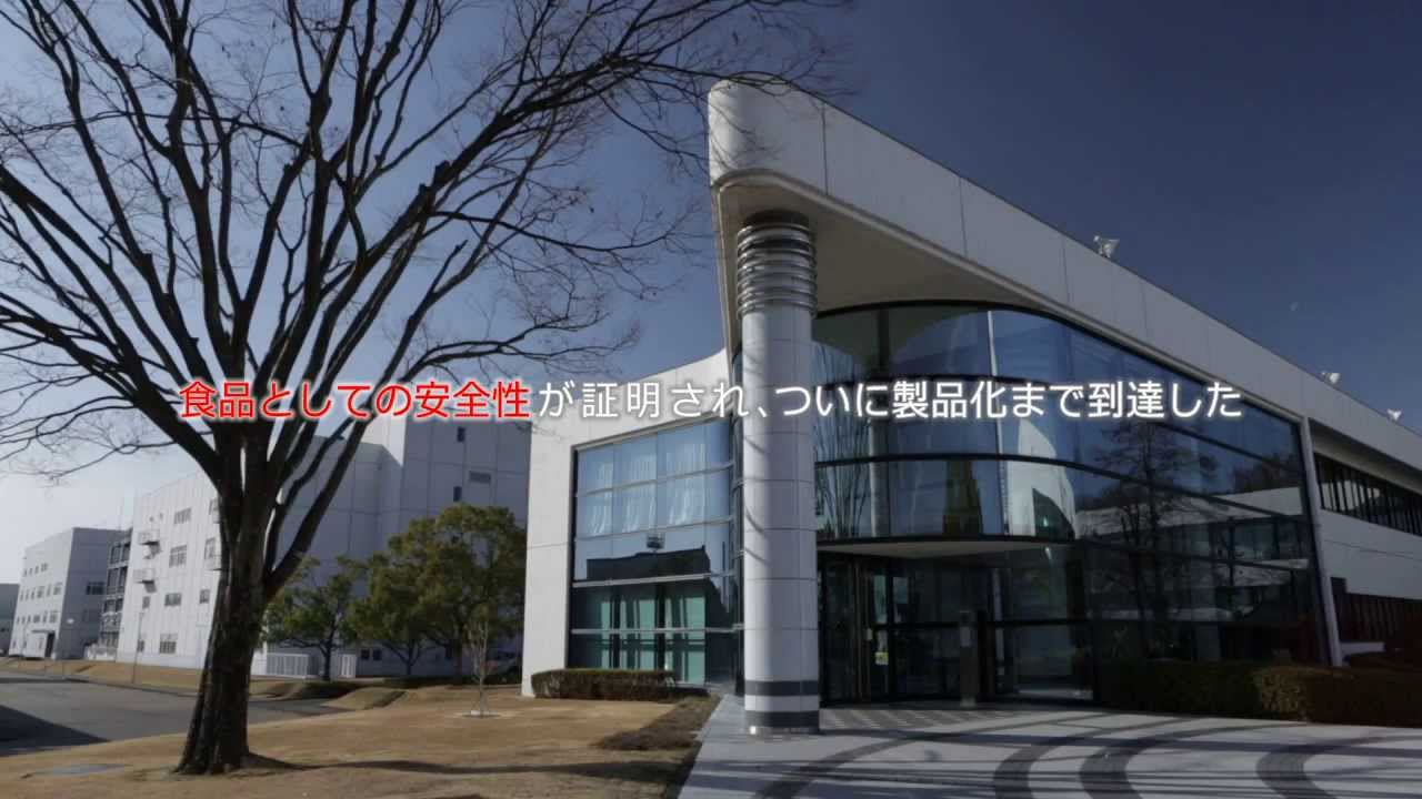 エクエル開発の軌跡