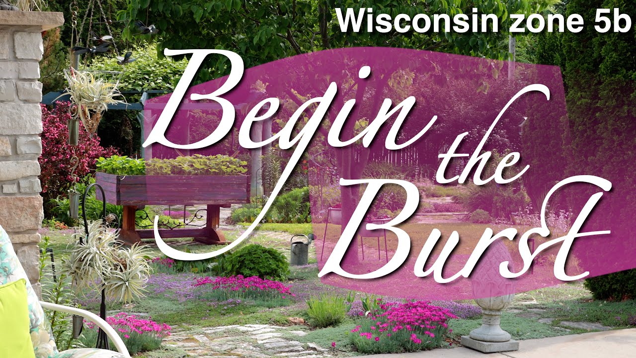 Begin the Burst - The garden bursts back to life