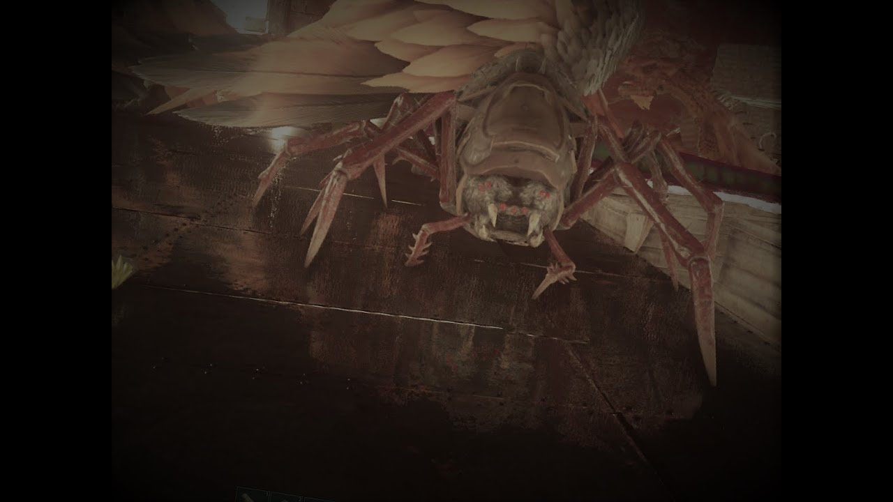 Araneo Trap Ark, Spidermanning like a boss