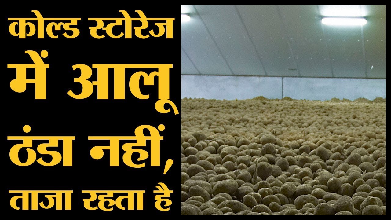 क्या आपने कोल्ड स्टोरेज अंदर से देखा है? | Agra | The Lallantop