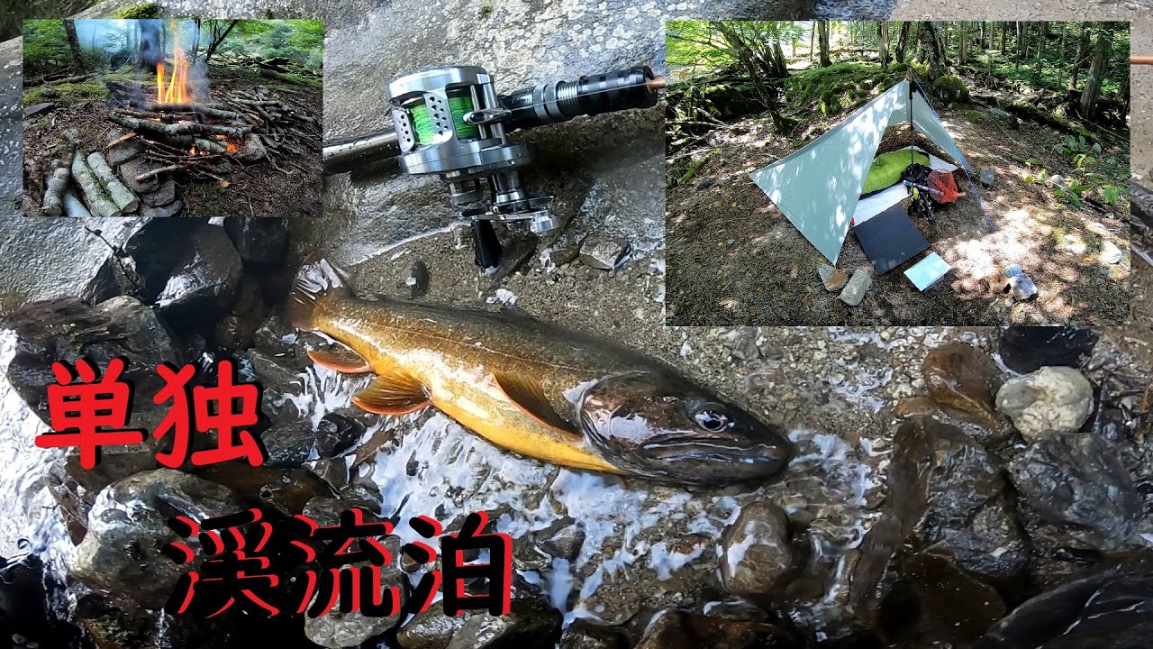 単独渓流泊/焚き火と酒とイワナと/源流釣行/渓流ベイトフィネス