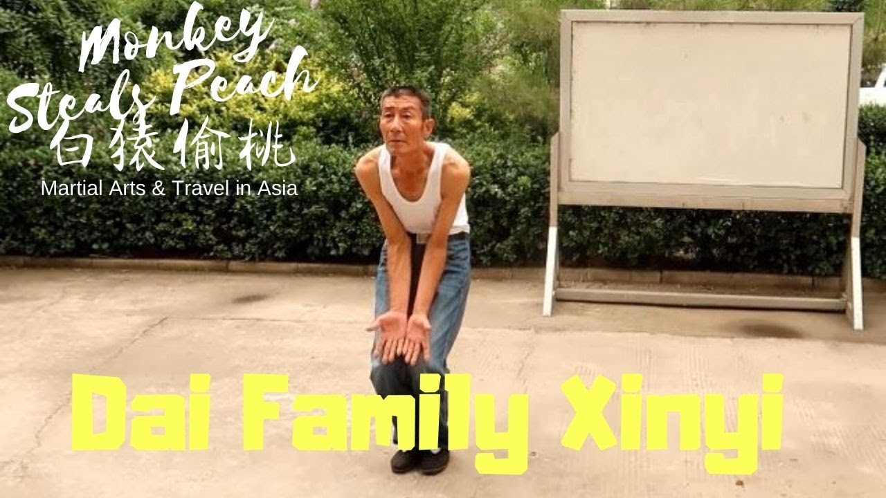 A Lesson in Dai Style Xinyi Quan - Exploring Xingyi Quan ep9d
