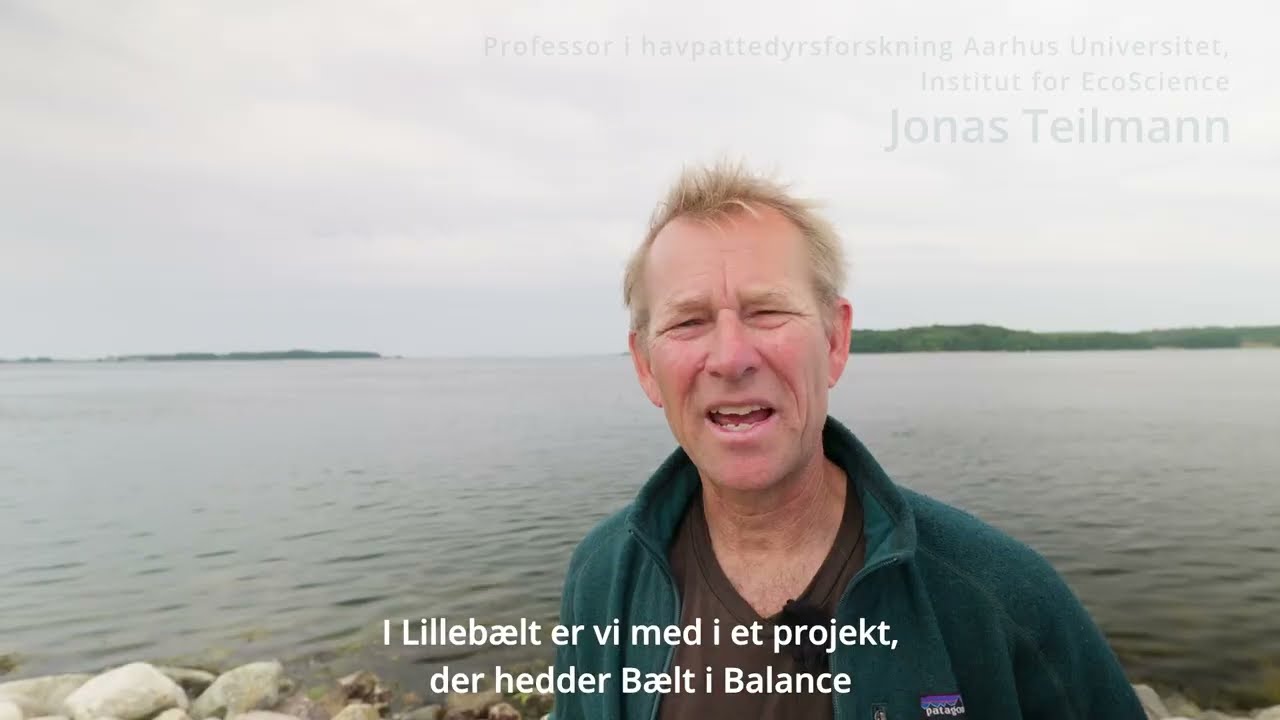 Tag hensyn til Naturpark Lillebælts mange marsvin