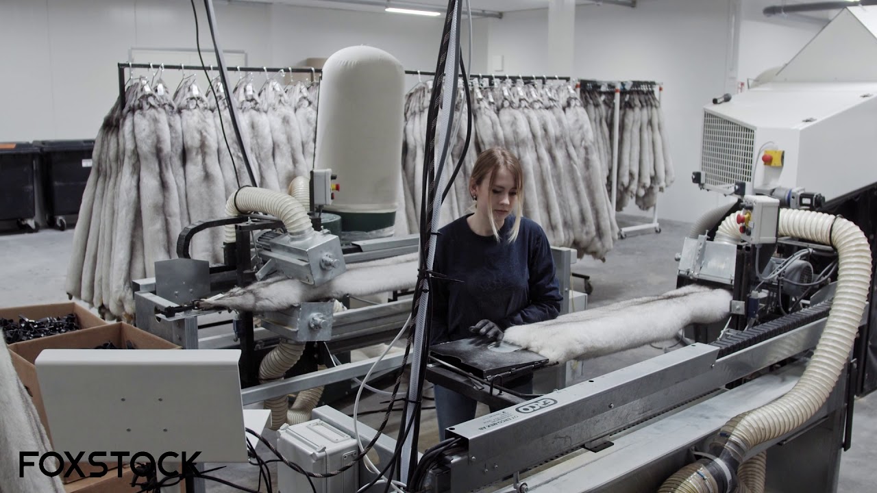 Foxstock - Home of the world's finest fox fur
