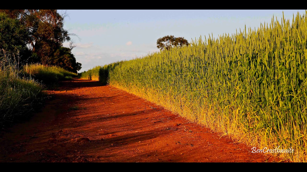Beautiful Farm Landscapes of the Mid West.