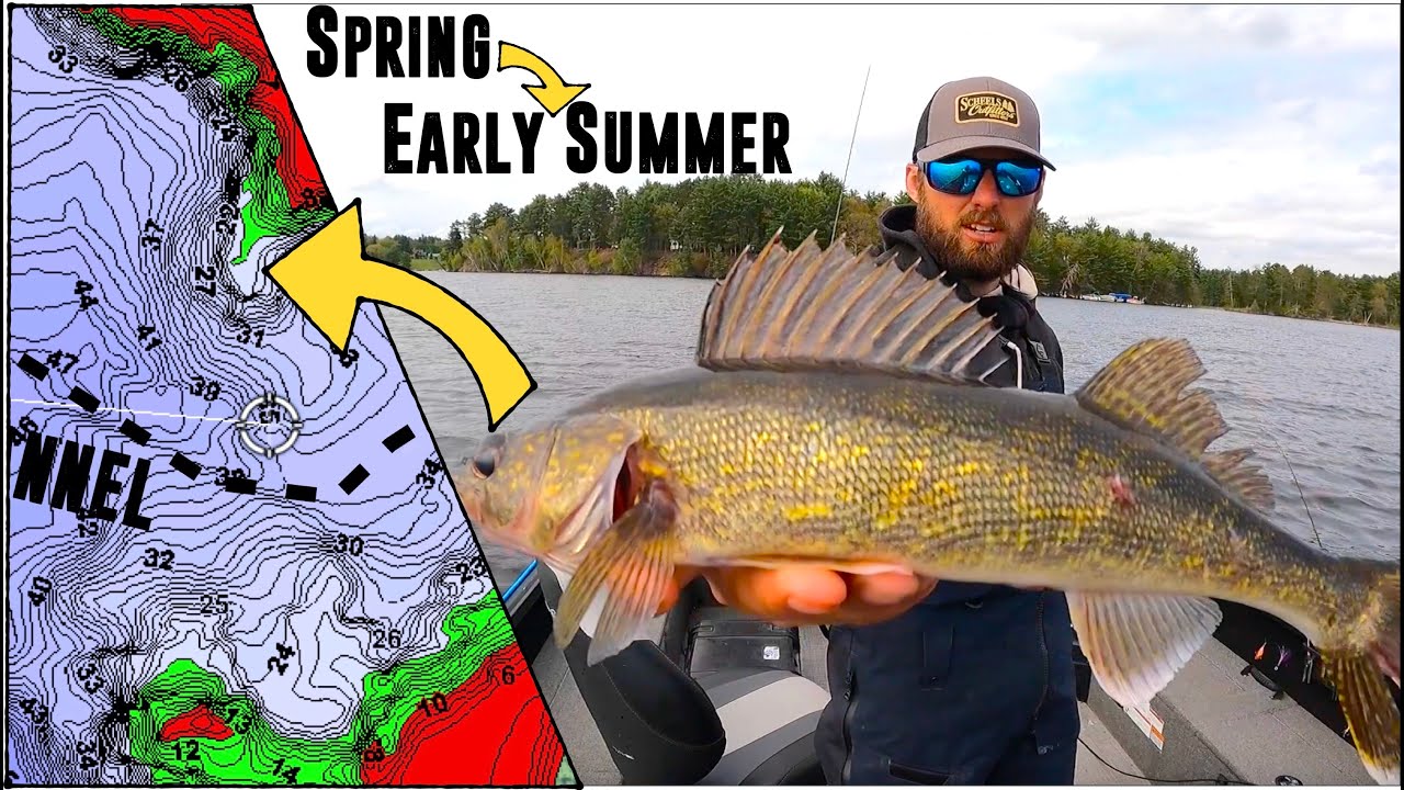 How to FIND and CATCH Spring to Early Summer Transition Walleyes!