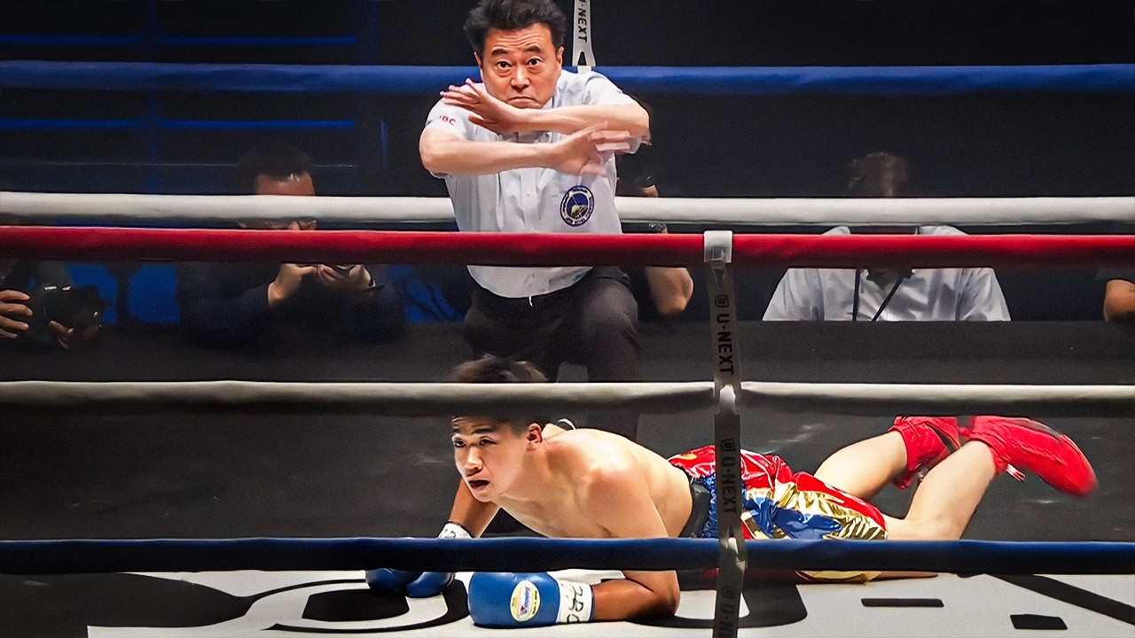 Boxing Knockouts 2025 ( August )