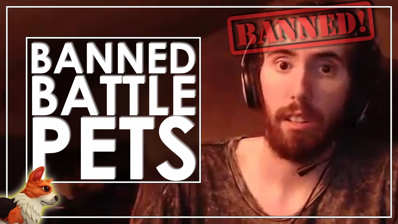 Best of Asmongold #28 - Banned For Pet Battles