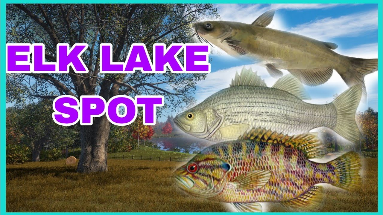 ELK LAKE SPOT- BU MERA SPİN İÇİN  HEP AKTİF! Russian Fishing 4 #rf4