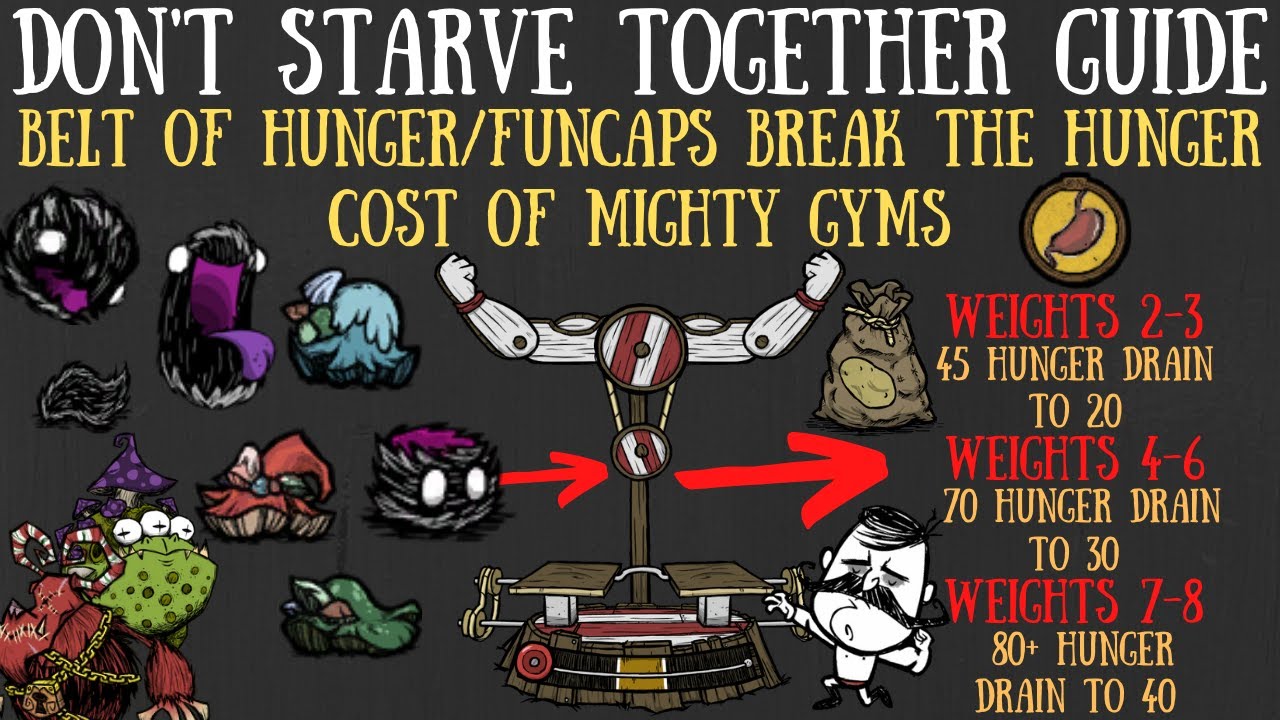 The Belt Of Hunger Breaks Reworked Wolfgang, Mighty Gyms & More - Don't Starve Together Guide