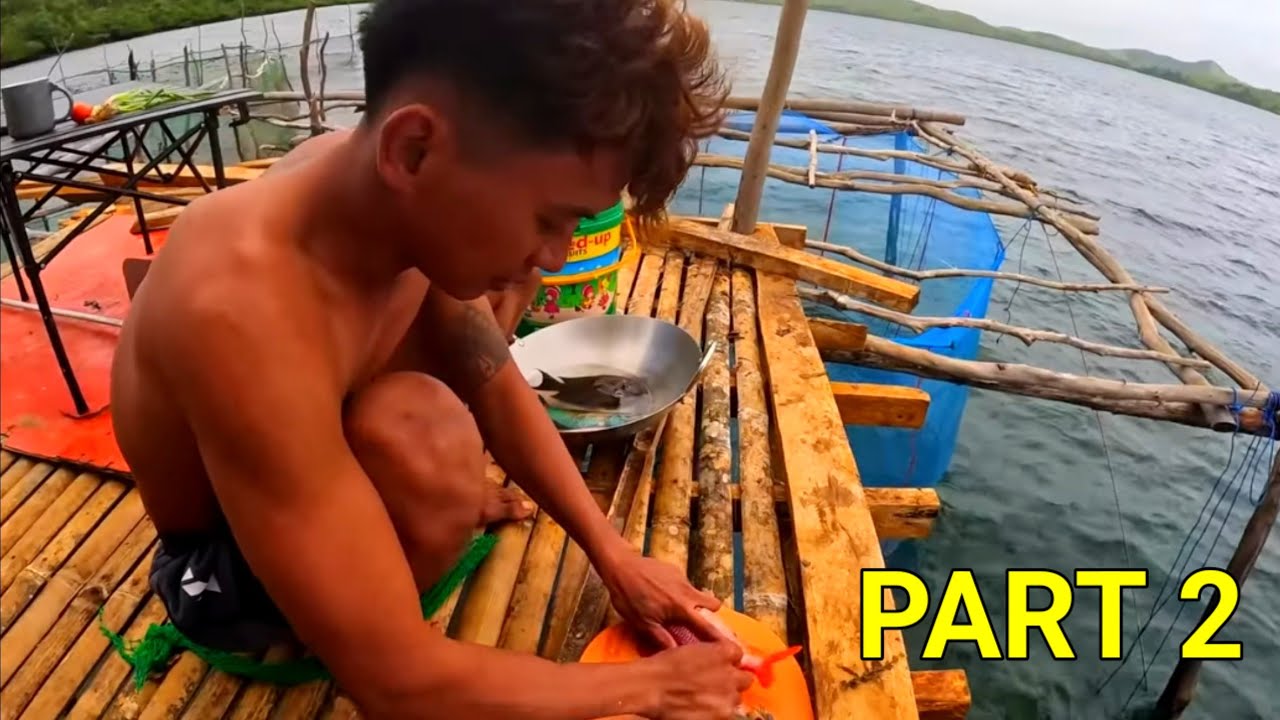 P8 - SPEARFISHING (PART 2) 