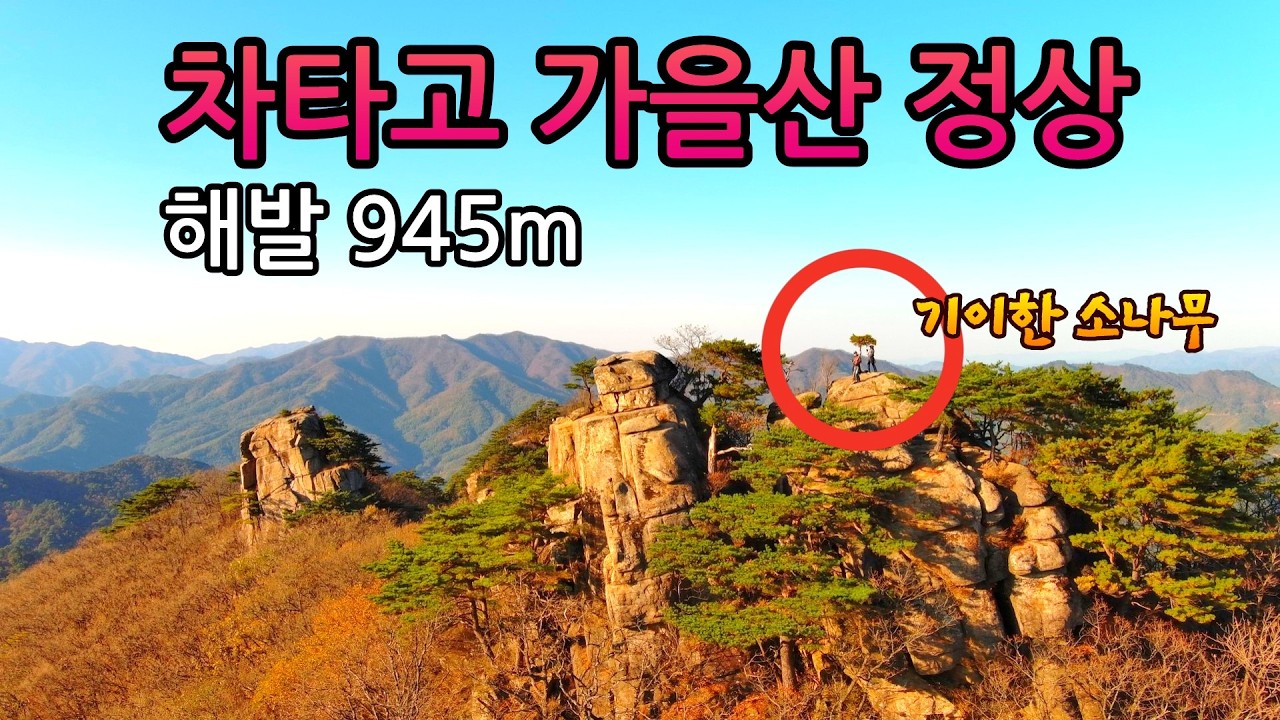 해발945m 자동차로 올라 천년고찰과 도보30분 가을산정상 바위틈에 자란 나이를 알수없는 기이한 소나무 360도 파노라마 미친뷰 #오지산골다큐 #오지자동차여행 #오지암자