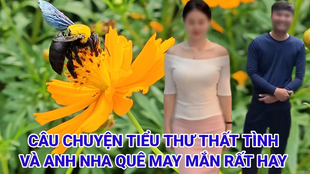 Tiểu thư thất tình và anh nhà quê may mắn rất hay