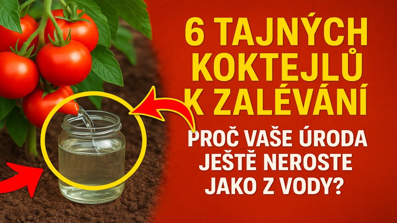 6 Tajných Koktejlů k Zalévání: Proč Vaše Úroda Ještě Neroste Jako z Vody?