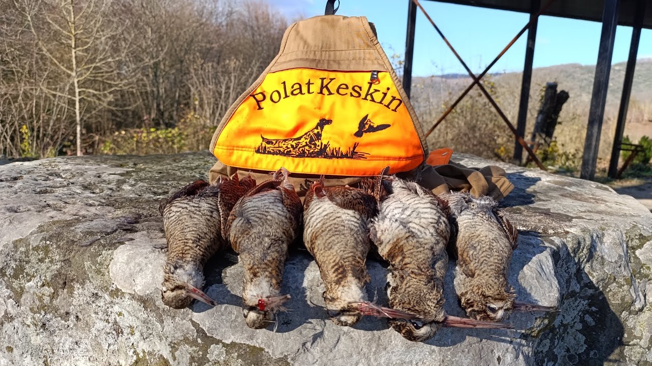 2024-2025 ZONGULDAK &Ccedil;ULLUK AVI PART- 5 #&ccedil;ullukavı #woodcockhunting #beccaccia #hunting #setter