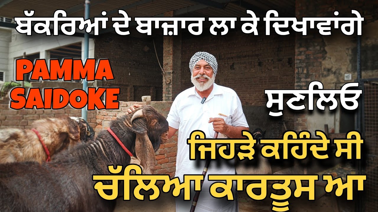 ਜਿਹੜੇ ਕਹਿੰਦੇ ਸੀ ਚੱਲਿਆ ਕਾਰਤੂਸ ਆ,ਹੁਣ ਦੇਖਦੇ ਜਾਇਓ। ਬੱਕਰਿਆਂ ਦੇ ਬਾਜ਼ਾਰ ਲਾ ਦਿਆਂਗੇ_ਪੰਮਾ ਸੈਦੋਕੇ #pammasaidoke